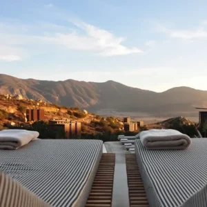 Sage & Crown Benefits chairs